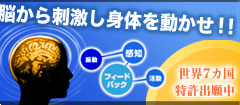 フィードバックディスクを装着することで脳から直接刺激を送り、自然的に普段使われていない筋肉を2割ほど目覚めさせることができ、適材適所に筋肉が活躍できる適材適所に筋肉が活躍できるその詳細は？