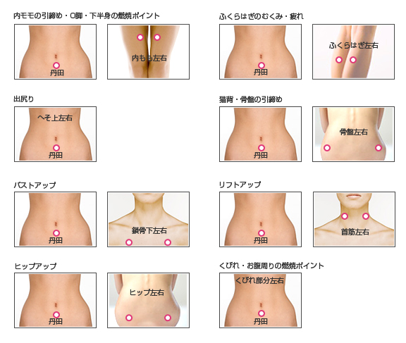 フィードバックディスク完全ガイド