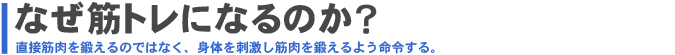 なぜ筋トレになるのか？